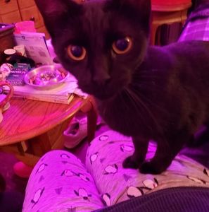 Meet your Posher, Rebecca